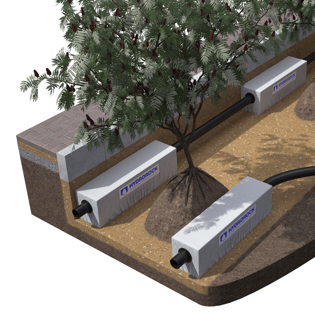 Hydrorock use in a tree pit configuration